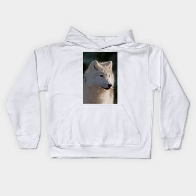 Arctic Wolf Kids Hoodie by jaydee1400